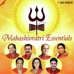 Mahashivratri Essentials - Pradyumna Sharma Song Download